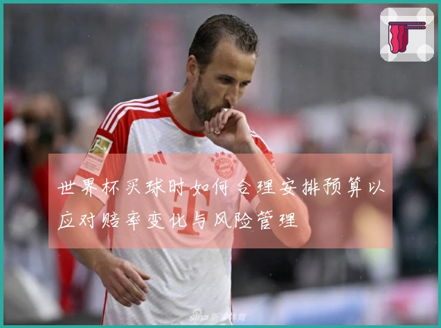 世界杯买球时如何合理安排预算以应对赔率变化与风险管理