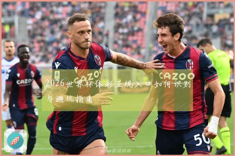 2026世界杯体彩正规入口如何识别与避坑指南