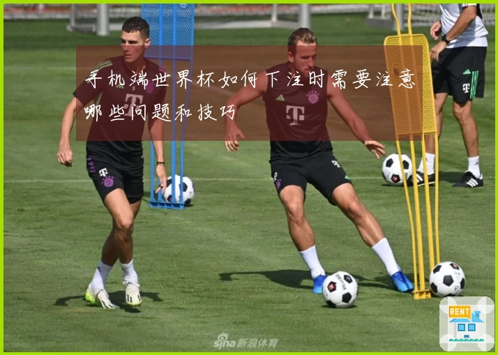 手机端世界杯如何下注时需要注意哪些问题和技巧