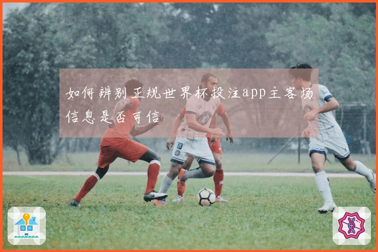 如何辨别正规世界杯投注app主客场信息是否可信