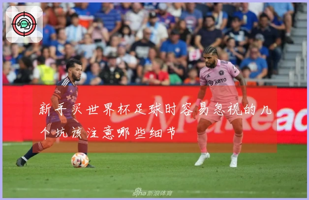 新手买世界杯足球时容易忽视的几个坑该注意哪些细节