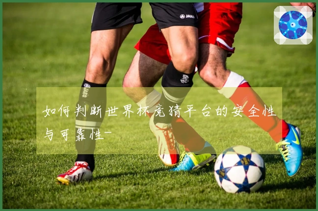 如何判断世界杯竞猜平台的安全性与可靠性-