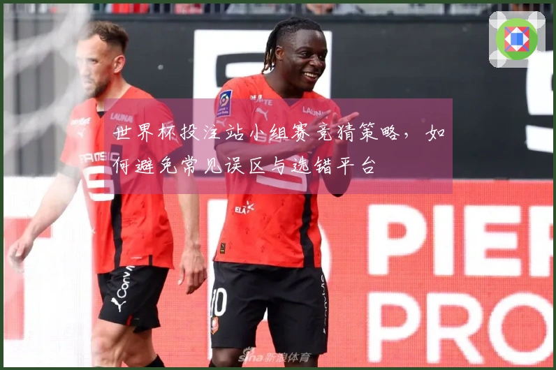 世界杯投注站小组赛竞猜策略，如何避免常见误区与选错平台