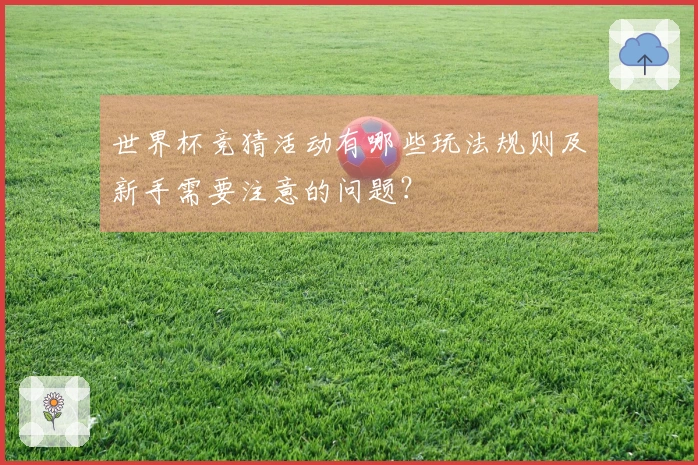 世界杯竞猜活动有哪些玩法规则及新手需要注意的问题？