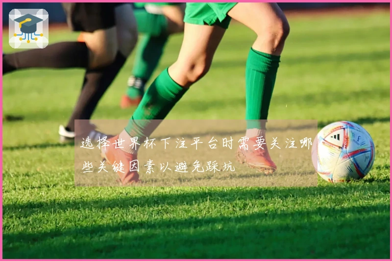 选择世界杯下注平台时需要关注哪些关键因素以避免踩坑