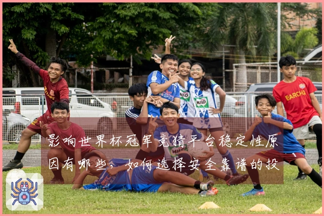 影响世界杯冠军竞猜平台稳定性原因有哪些，如何选择安全靠谱的投注网站