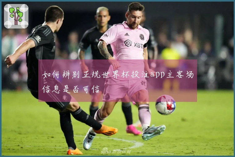 如何辨别正规世界杯投注app主客场信息是否可信