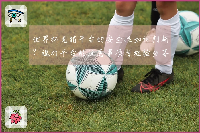 世界杯竞猜平台的安全性如何判断？选对平台的注意事项与经验分享