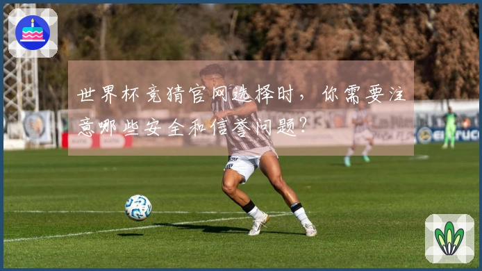 世界杯竞猜官网选择时，你需要注意哪些安全和信誉问题？