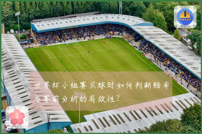 世界杯小组赛买球时如何判断赔率与赛前分析的有效性？