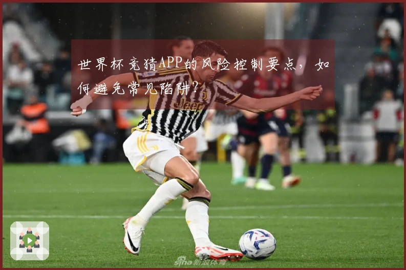 世界杯竞猜APP的风险控制要点,如何避免常见陷阱?