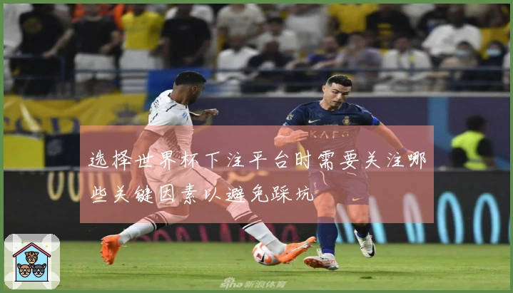 选择世界杯下注平台时需要关注哪些关键因素以避免踩坑